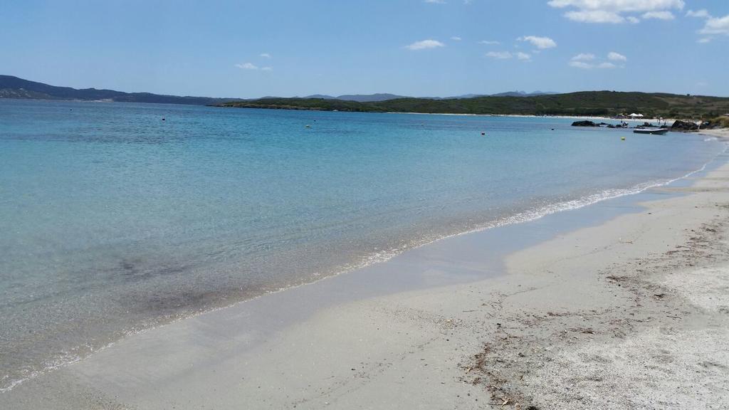 דירות אולביה Relax Al Mare מראה חיצוני תמונה